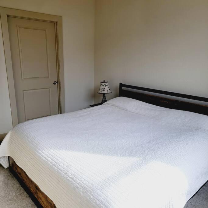 Relaxing Pool View Apt Reliant Stadium/Medical Center 休斯敦 外观 照片