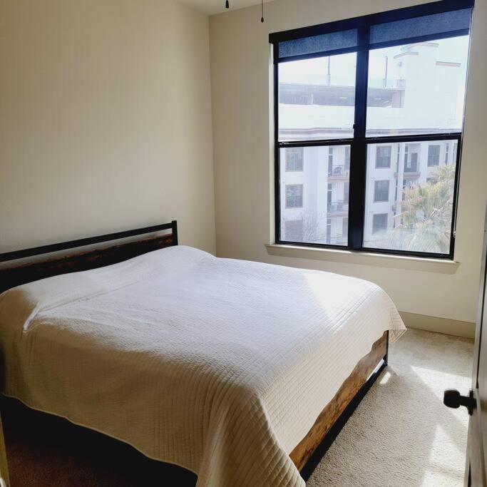 Relaxing Pool View Apt Reliant Stadium/Medical Center 休斯敦 外观 照片